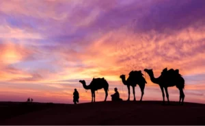 Evening Desert Safari Dubai Tickets